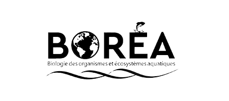 logo BOREA